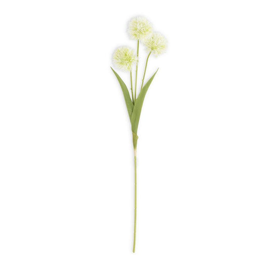 CREAM BALL FLOWER STEM