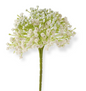 WHITE BABY'S BREATH PICK