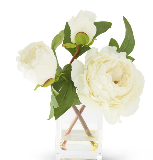 WHITE PEONY IN VASE