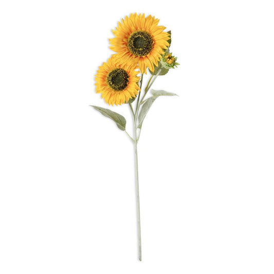 SUNFLOWER STEMS