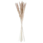 27" TAN PAMPAS GRASS BUNDLE