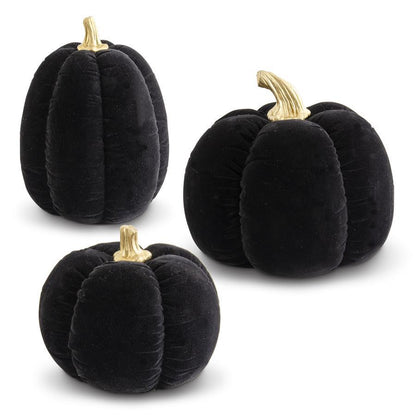 BLACK VELVET PUMPKINS