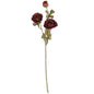 BURGUNDY RANUNCULUS SPRAY