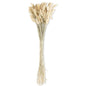 NATURAL BUNNY TAIL WHEAT BUNDLE