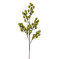 27" GREEN CRACKLE ROSEHIP STEM