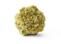 LIGHT GREEN SEDUM BALL