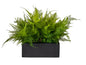 SEBASTAIN PLANTER WITH FERN ARRANGEMENT