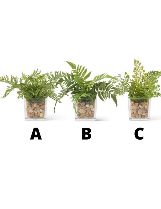 FERNS VASE W/ PEBBLES