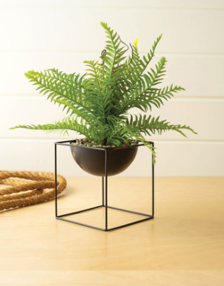 FERN IN SQUARE IRON BASE