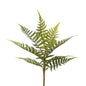 FERN STEM 13"