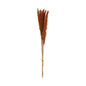 ORANGE NATURAL PAMPAS GRASS BUNCH