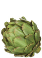 ARTICHOKE