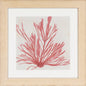 CORAL WALL ART