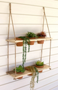 WOOD SHELF WITH CLAY POTS