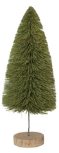 GREEN SISAL TREE