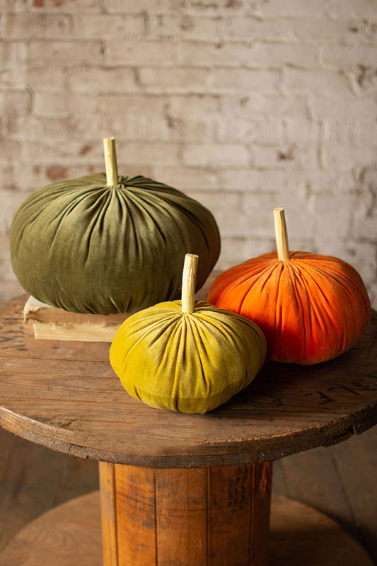 VELVET PUMPKINS